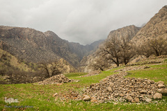 طبیعت شگفت انگیز خوزستان