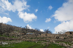 طبیعت شگفت انگیز خوزستان