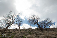 طبیعت شگفت انگیز خوزستان