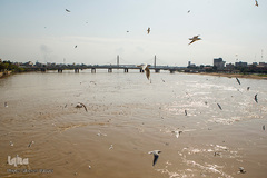 طبیعت شگفت انگیز خوزستان