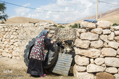 آمنه گاهی اوقات در خانه آشپزی می‌کند و از گوسفندان تازه متولد شده نگه‌داری می‌کند.