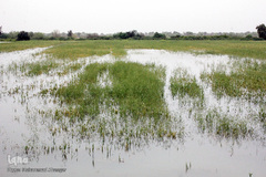 تخلیه روستاهای در معرض سیل خوزستان