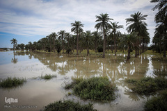 سیلاب در شهرستان کارون و تلاش برای مقابله با آن