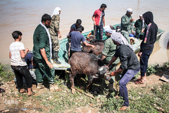 روستاهای گرفتار در سیل منطقه بامدژ