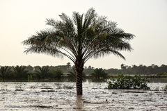 سیل در روستاهای غزاویه