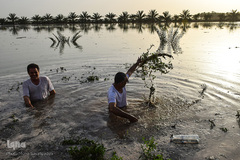 سیل در روستاهای غزاویه