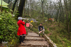 جنگل «قلعه رودخان»