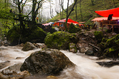 جنگل «قلعه رودخان»