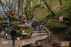 جنگل «قلعه رودخان»