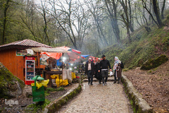 جنگل «قلعه رودخان»