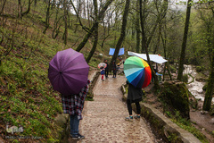 جنگل «قلعه رودخان»