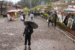 جنگل «قلعه رودخان»