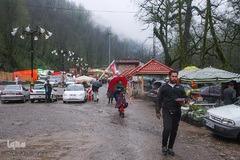 جنگل «قلعه رودخان»