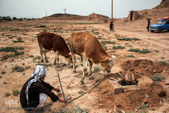 روزگار سیل‌زده مردم حمیدیه
