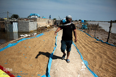 هوفل علی‌آباد گرفتار در سیل