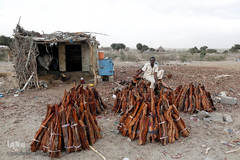 فاجعه انسانی در یمن