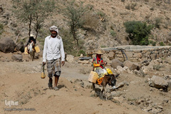 فاجعه انسانی در یمن