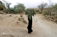 فاجعه انسانی در یمن