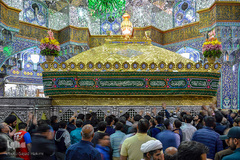 حرم حضرت معصومه(س) در شب نیمه شعبان‎