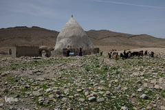 عشایر قشقایی در بسیاری از مناطق استان فارس یک‌جا نشین شده‌اند. در بسیاری از این ایل‌ها زن‌ها نیز چوپانی می‌کنند.