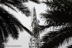 شبکه ماهواره ای کربلا