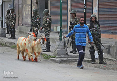 عید قربان در دیگر کشورها