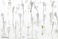 تصاویر برگزیده هفته نشنال‌جئوگرافیک