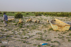 روستای اربابی (تخت عدالت)