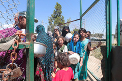 اطعام غدیری خیریه متوسلین به امام رضا(ع) بین ۴ هزار نیازمند تهرانی