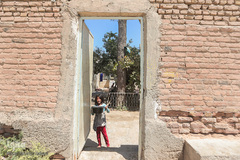 اطعام غدیری خیریه متوسلین به امام رضا(ع) بین ۴ هزار نیازمند تهرانی