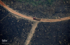 اتش‌سوزی سهمگین در آمازون