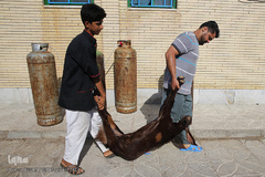 توزیع نذورات خیرین هم‌نمک در روستاها و مناطق فقیرنشین حاشیه شهر زهکلوت جازموریان