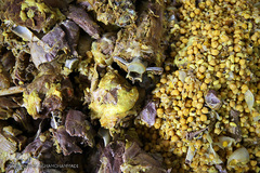 توزیع نذورات خیرین هم‌نمک در روستاها و مناطق فقیرنشین حاشیه شهر زهکلوت جازموریان