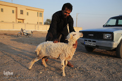 پخت 10هزار غذای عزاداران عاشورای حسینی/ جازموریان