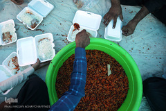 پخت 10هزار غذای عزاداران عاشورای حسینی/ جازموریان