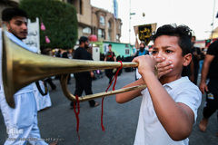 زائران حسینی