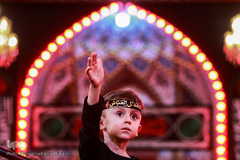 زائران حسینی