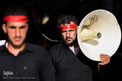 زائران حسینی