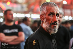 زائران حسینی