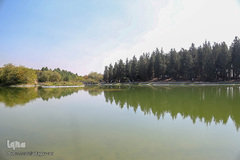 باغ گیاه شناسی ملی ایران در تهران