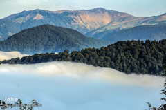 ییلاق ماسال در رشت