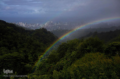 گزیده تصاویر تابستان نشنال جئوگرافیک