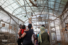 باغ پرندگان تهران