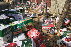 کشمیر، ۱۱۰روز بعد از لغو خودمختاری