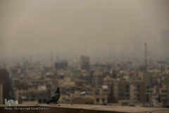 آلودگی شهر تهران، دوشنبه ۱۱ آذر