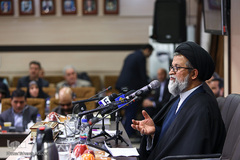 حجت‌‌ الاسلام سید محمدی، مشاور و سرپرست امور فرهنگی سازمان بهزیستی کشور