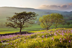 بهار در جهان