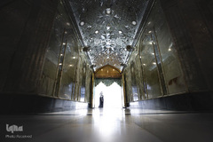 عباس (ع) آمد تا برادری را معنا کند