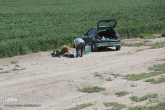 روز طبیعت با چاشنی کرونا