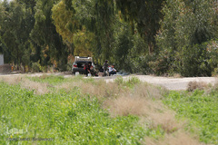 روز طبیعت با چاشنی کرونا